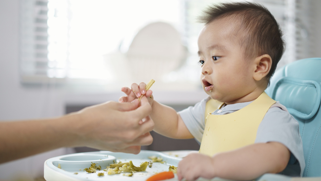 A baby, seated in a highchair, receives corn from her mother.