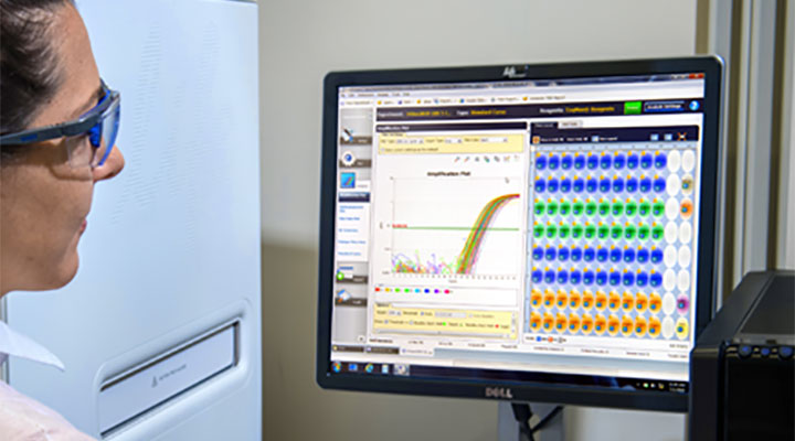 T&eacute;cnico de laboratorio mirando la computadora